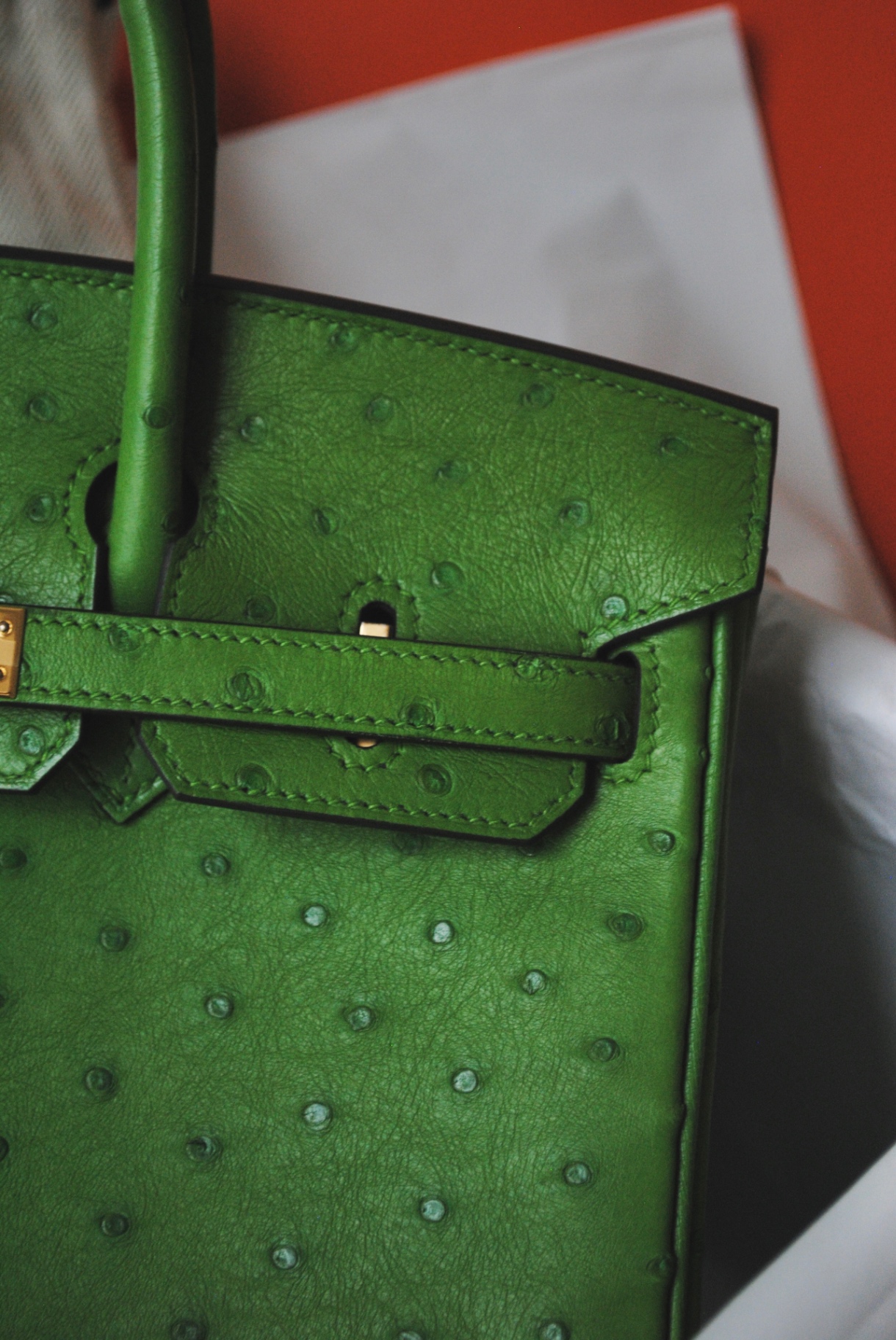 Ostrich leather grain and hand-stitched sangle detail